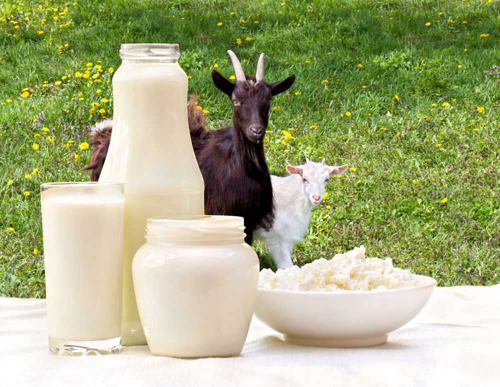 Sữa tốt cho trẻ sơ sinh nên chọn loại nào