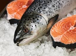Bạn nên nhớ thường xuyên bổ sung các món ăn từ cá hồi cho bé nhé