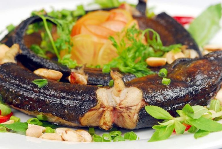 Trẻ ho có nên cho ăn lươn?
