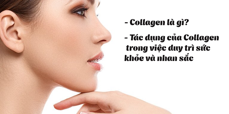 Bao nhiêu tuổi thì bổ sung collagen?
