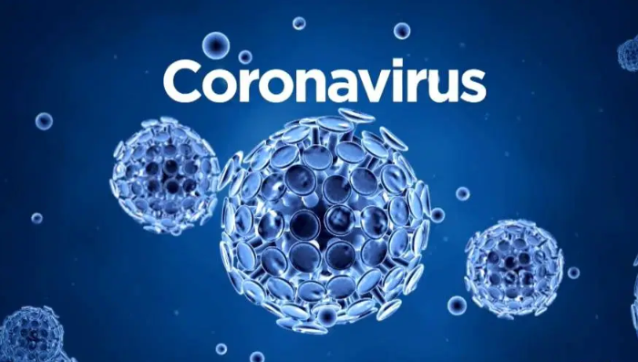 Những điều cần biết về virus Corona
